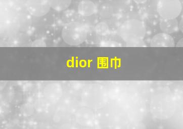 dior 围巾